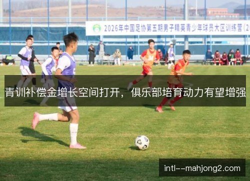 青训补偿金增长空间打开,俱乐部培育动力有望增强 青训补偿金增长空间打开,俱乐部培育动力有望增强