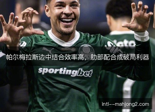 帕尔梅拉斯边中结合效率高,肋部配合成破局利器 帕尔梅拉斯边中结合效率高,肋部配合成破局利器